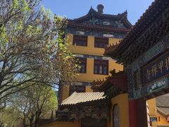 -挂甲禅寺