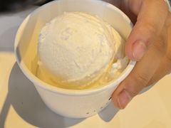 -BLACKSWAN黑天鹅(环球店)