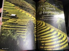 -naraya(Siam Paragon)