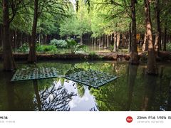 -捞渔河湿地公园