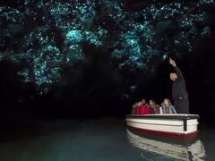 -怀托摩萤火虫洞