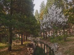 -新清华学堂
