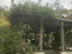 -东山雕花楼
