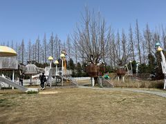 -前小桔亲子创意农场·草莓采摘·露营烧烤