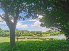 -东莞植物园