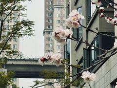 -华润·二十四城