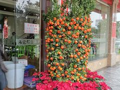 门面-乌记鲜活牛肉城(金砂东路店)