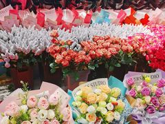 -曲阳花鸟市场(曲阳路店)