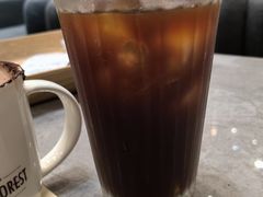 -喜马拉雅森HIMALAYAN FOREST