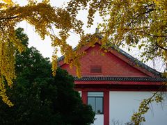 -四川大学(望江校区)