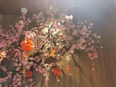 -孙毛肚火锅(春熙路店)