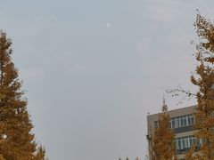 -成都中医药大学(温江校区)