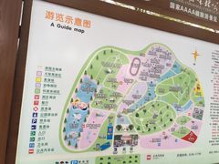 -广东茂名森林公园