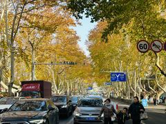 -南京维景国际大酒店(南京博物院店)