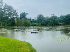 -中国科学院西双版纳热带植物园