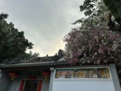 -深圳国际园林花卉博览园