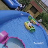 遛娃必打卡上海这家乐园，还可以和小动物互动呦[胜利]