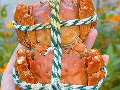 -丫丫蟹庄·苏式园林农家乐·阳澄湖大闸蟹(阳澄湖莲花岛店)