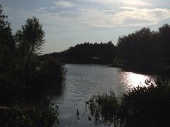 iphone_upload_pic-新江湾城公园