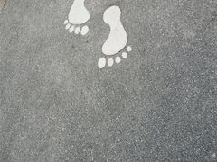 -火炉山森林公园