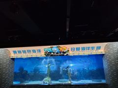 -成都浩海立方海洋公园