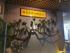 -红瓜子 影视后期 摄影摄像设计 新媒体运营技能培训(宝安校区)