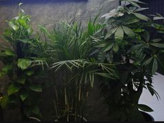 -泰古龙抓龙筋·spa按摩(静安店)