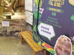 -正佳雨林生态植物园