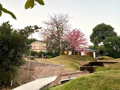 -凤阁楼果木烧鹅(鹤山陈山店)