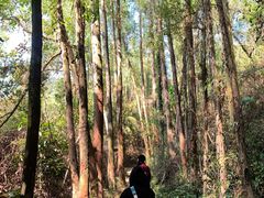 -火炉山森林公园