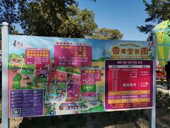 -广东花都香草世界旅游度假区