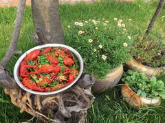 -森居forest休闲咖啡聚集地