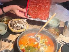 -毛辣果·酸