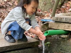 -杭州少年儿童公园