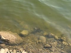 iphone_upload_pic-永定河休闲森林公园