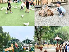 -成都欢乐谷