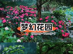 -上海市第六人民医院(临港院区)