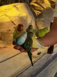 -酷嗒动物文化乐园(cutezoo西溪乐天城店)