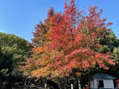 -白马涧龙池景区