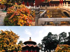 -故宫博物院(故宫)