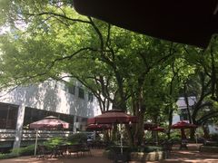 景观位-浙江宾馆·花园餐厅·自助餐厅·茶吧