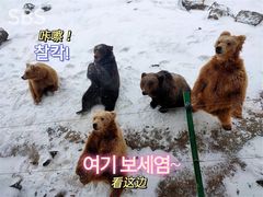 -新疆天山野生动物园