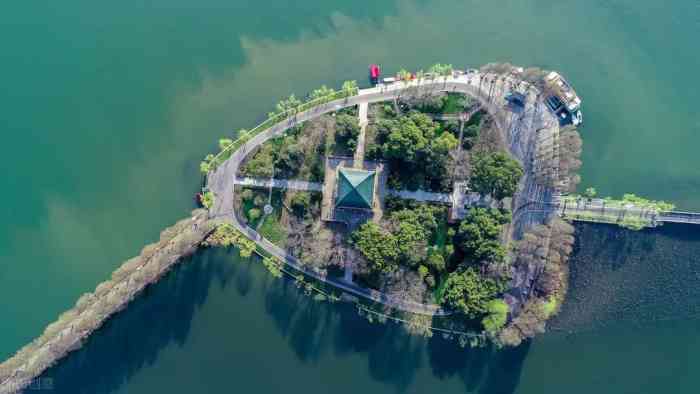 崔家桥东湖生态观光园图片