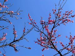 -游子山休闲旅游区