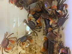 -双季花艺园艺市场(浦东店)