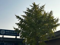 -天坛东门(地铁站)