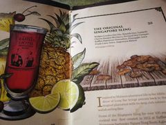 -Long Bar(莱佛士酒店)