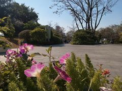 -云溪植物园