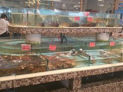 -新丁香海鲜酒店(银海商贸城店)