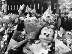 -上海市世外小学